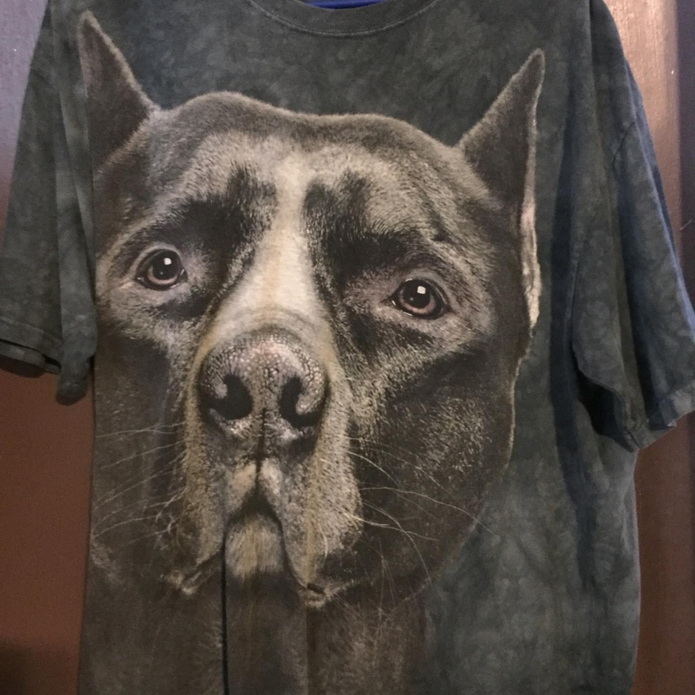 tee shirt